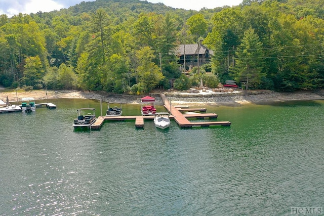 dock area with a water view