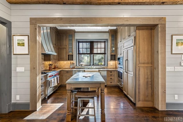 kitchen with premium range hood, appliances with stainless steel finishes, dark hardwood / wood-style floors, and a center island