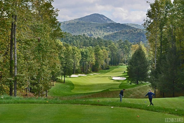 view of property's community with a mountain view and a lawn