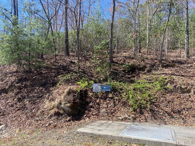27A Mayfly Dr, Tuckasegee, NC 28783 - photo 4