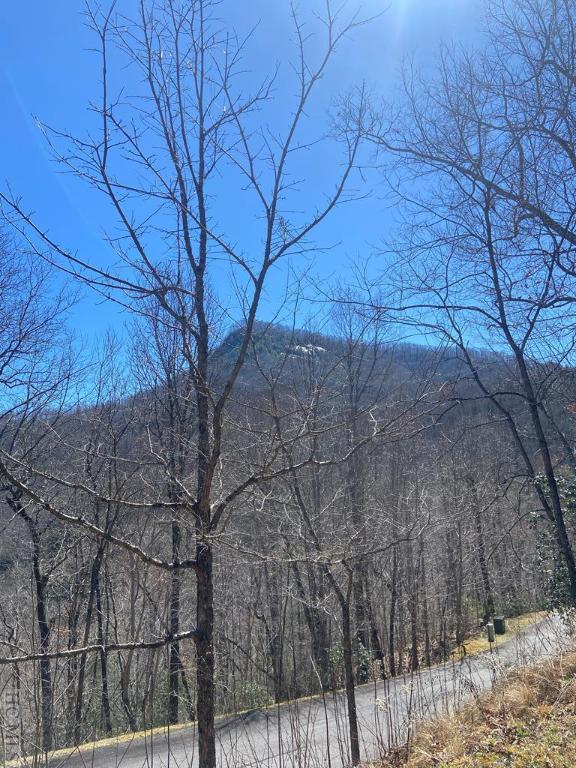 27A Mayfly Dr, Tuckasegee NC, 28783 land for sale