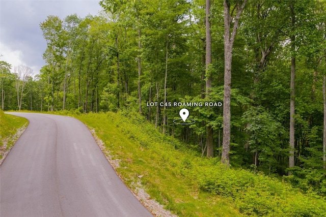 C45 Roaming Rd, Glenville, NC 28736 - photo 2