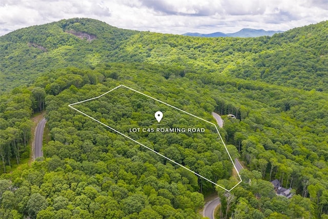 C45 Roaming Rd, Glenville, NC 28736 - photo 15
