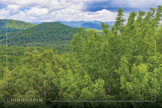 C45 Roaming Rd, Glenville, NC 28736 - photo 1