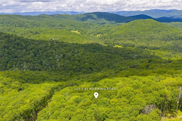 C45 Roaming Rd, Glenville, NC 28736 - photo 20