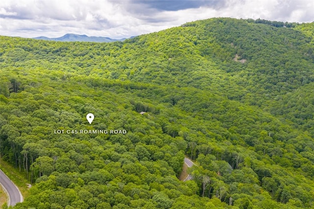 C45 Roaming Rd, Glenville, NC 28736 - photo 14