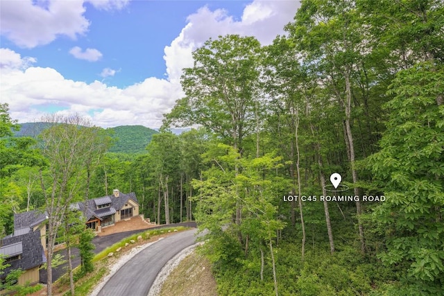 C45 Roaming Rd, Glenville, NC 28736 - photo 10