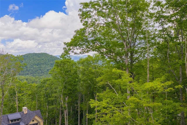 C45 Roaming Rd, Glenville, NC 28736 - photo 8