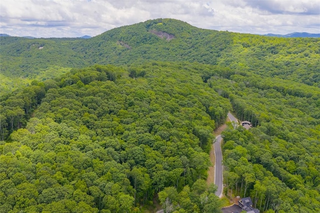 C45 Roaming Rd, Glenville, NC 28736 - photo 13