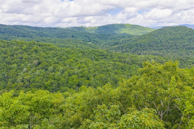 C45 Roaming Rd, Glenville, NC 28736 - photo 5