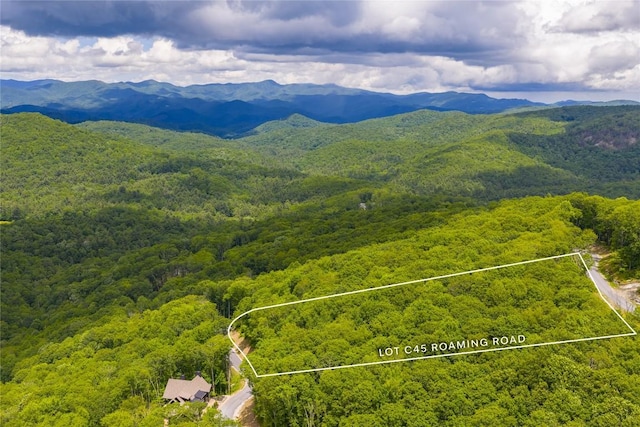 C45 Roaming Rd, Glenville, NC 28736 - photo 18