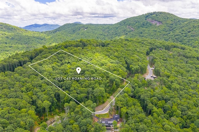 C45 Roaming Rd, Glenville, NC 28736 - photo 11