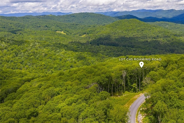 C45 Roaming Rd, Glenville, NC 28736 - photo 21