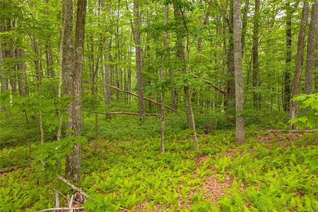 C45 Roaming Rd, Glenville, NC 28736 - photo 6