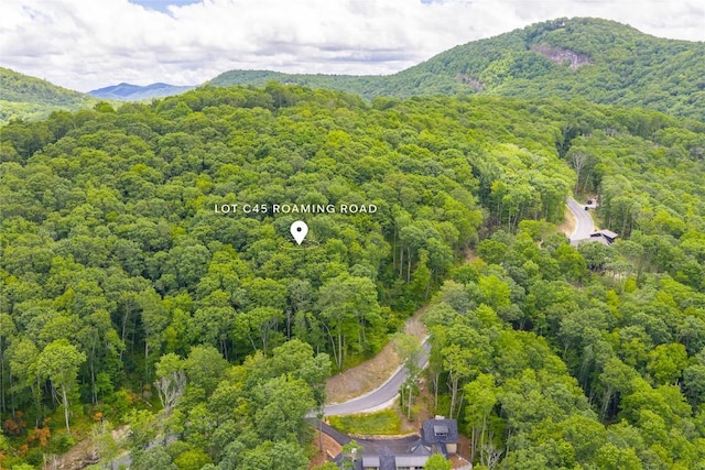 C45 Roaming Rd, Glenville, NC 28736 - photo 12