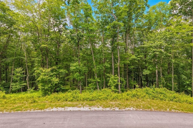 C45 Roaming Rd, Glenville, NC 28736 - photo 3