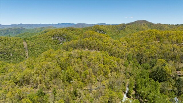 LOT76 Pasture Rd, Glenville, NC 28736 - photo 25