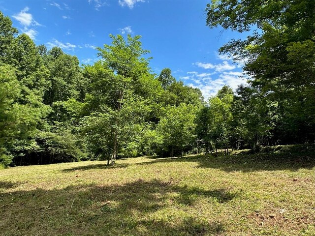 LOT76 Pasture Rd, Glenville, NC 28736 - photo 17