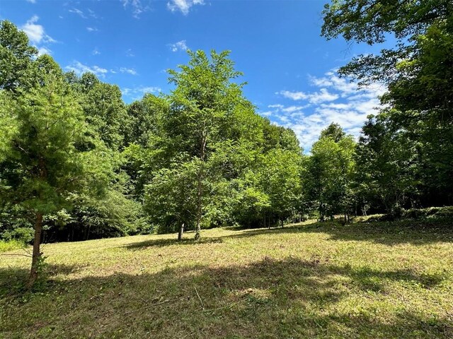 LOT76 Pasture Rd, Glenville, NC 28736 - photo 16