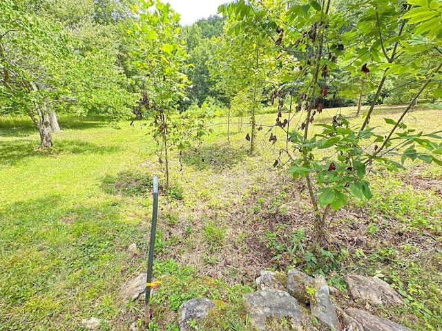 LOT76 Pasture Rd, Glenville, NC 28736 - photo 21