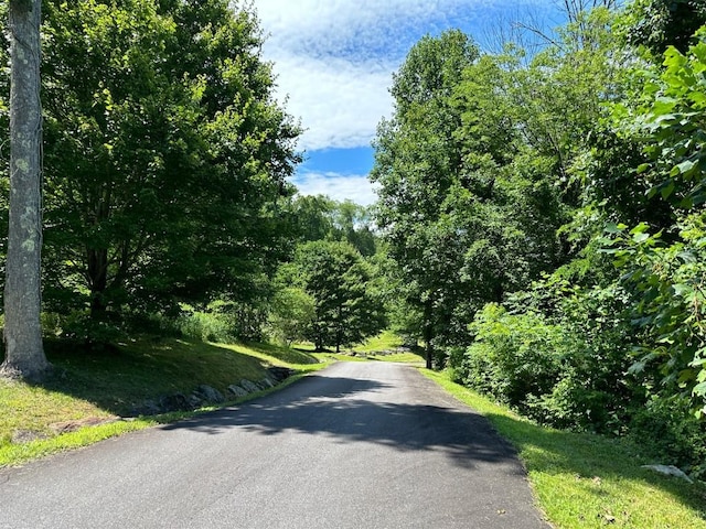 LOT76 Pasture Rd, Glenville, NC 28736 - photo 6