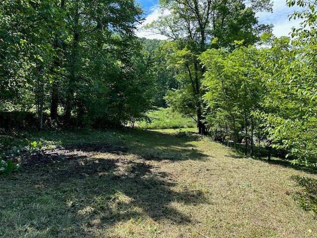LOT76 Pasture Rd, Glenville, NC 28736 - photo 4