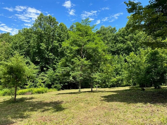 LOT76 Pasture Rd, Glenville, NC 28736 - photo 14