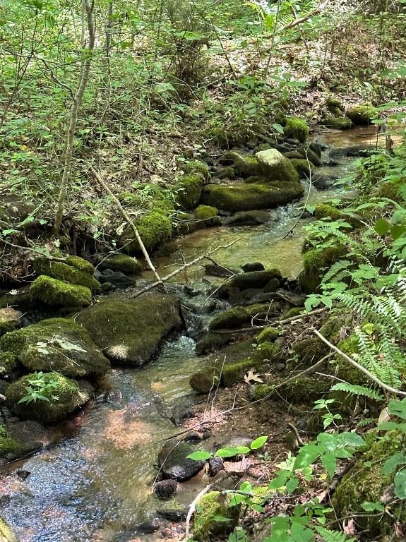 LOT76 Pasture Rd, Glenville, NC 28736 - photo 3