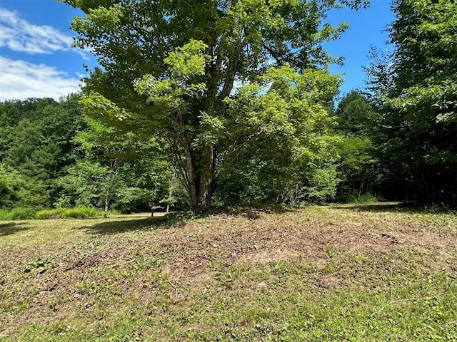 LOT76 Pasture Rd, Glenville, NC 28736 - photo 18