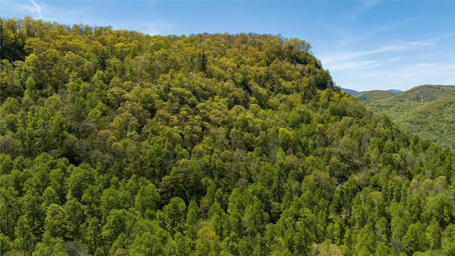 LOT76 Pasture Rd, Glenville, NC 28736 - photo 27