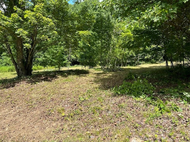 LOT76 Pasture Rd, Glenville, NC 28736 - photo 10