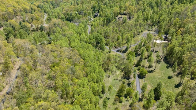 LOT76 Pasture Rd, Glenville, NC 28736 - photo 30