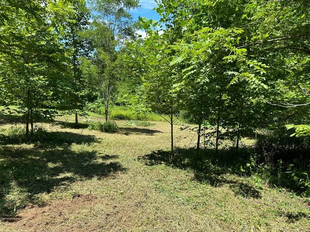 LOT76 Pasture Rd, Glenville, NC 28736 - photo 5