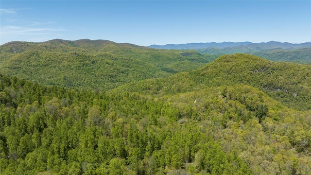 LOT76 Pasture Rd, Glenville, NC 28736 - photo 26