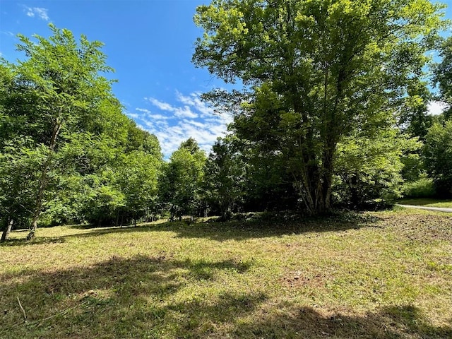 LOT76 Pasture Rd, Glenville, NC 28736 - photo 15