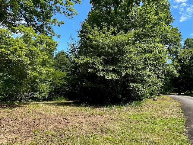 LOT76 Pasture Rd, Glenville, NC 28736 - photo 20