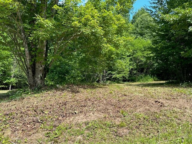 LOT76 Pasture Rd, Glenville, NC 28736 - photo 19