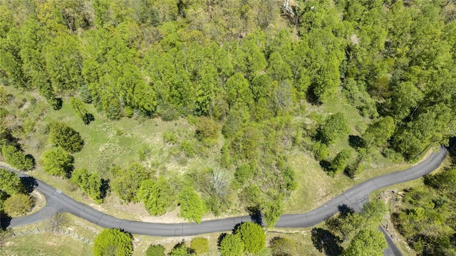 LOT76 Pasture Rd, Glenville, NC 28736 - photo 24