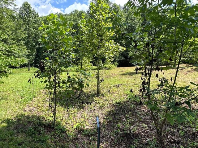 LOT76 Pasture Rd, Glenville, NC 28736 - photo 22