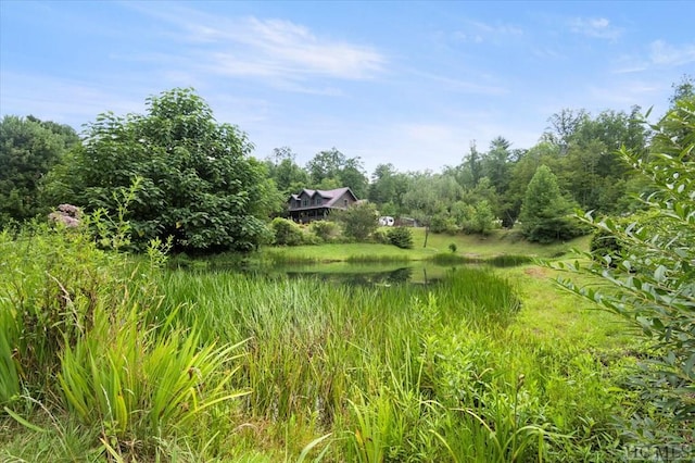 view of nature with a water view