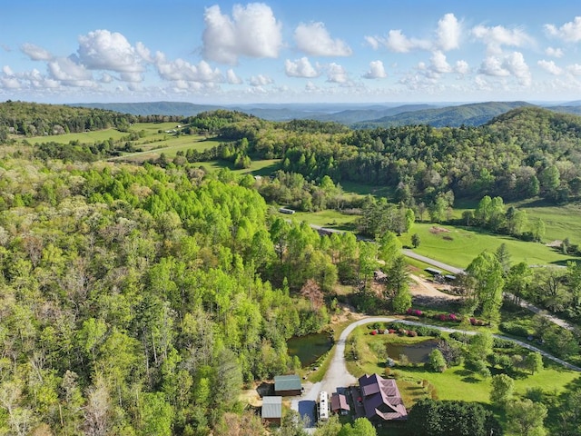 bird's eye view with a view of trees
