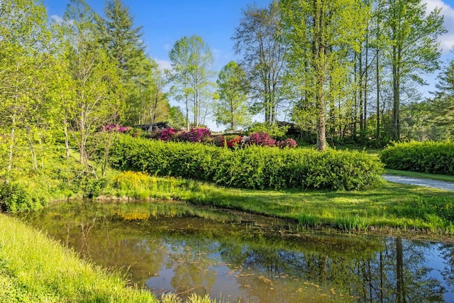 view of home's community