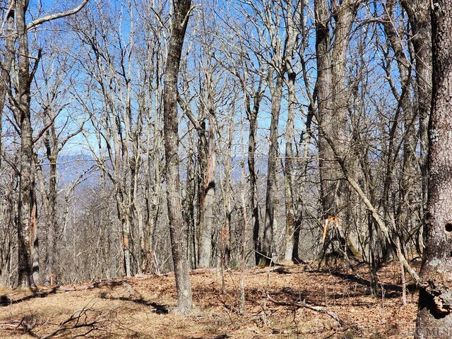 LOT51 Tower Rd, Sapphire, NC 28774