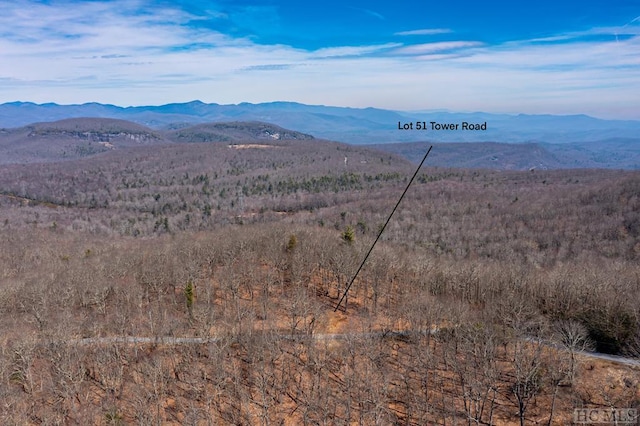 LOT51 Tower Rd, Sapphire, NC 28774