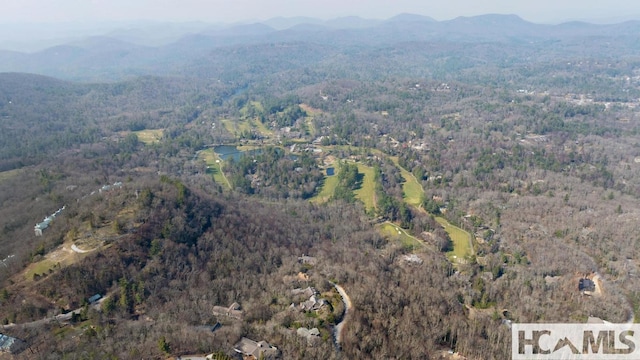 804 Vz Top Rd Unit 804, Highlands, NC 28741 - photo 58