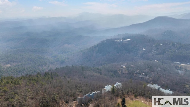 804 Vz Top Rd Unit 804, Highlands, NC 28741 - photo 60