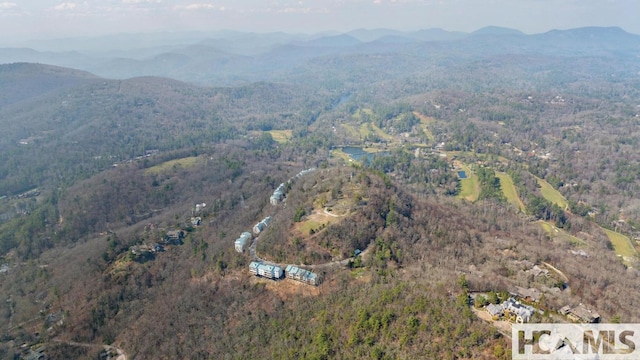 804 Vz Top Rd Unit 804, Highlands, NC 28741 - photo 56