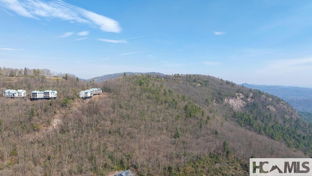 804 Vz Top Rd Unit 804, Highlands, NC 28741 - photo 55