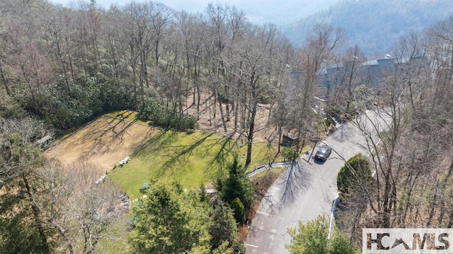 804 Vz Top Rd Unit 804, Highlands, NC 28741 - photo 45