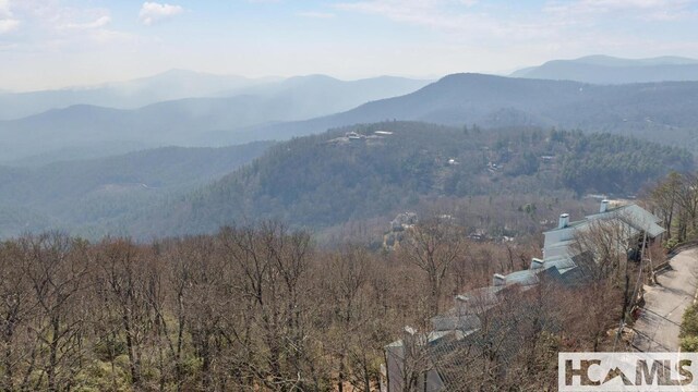 804 Vz Top Rd Unit 804, Highlands, NC 28741 - photo 46